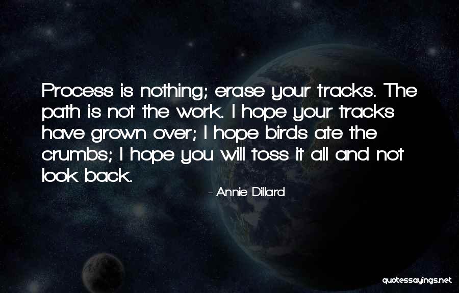 Dillard Quotes By Annie Dillard