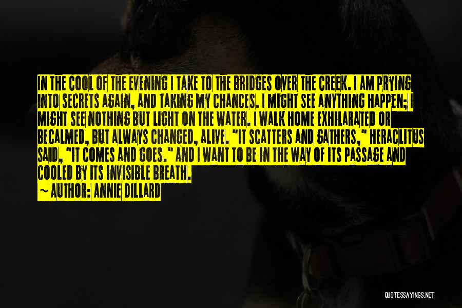 Dillard Quotes By Annie Dillard