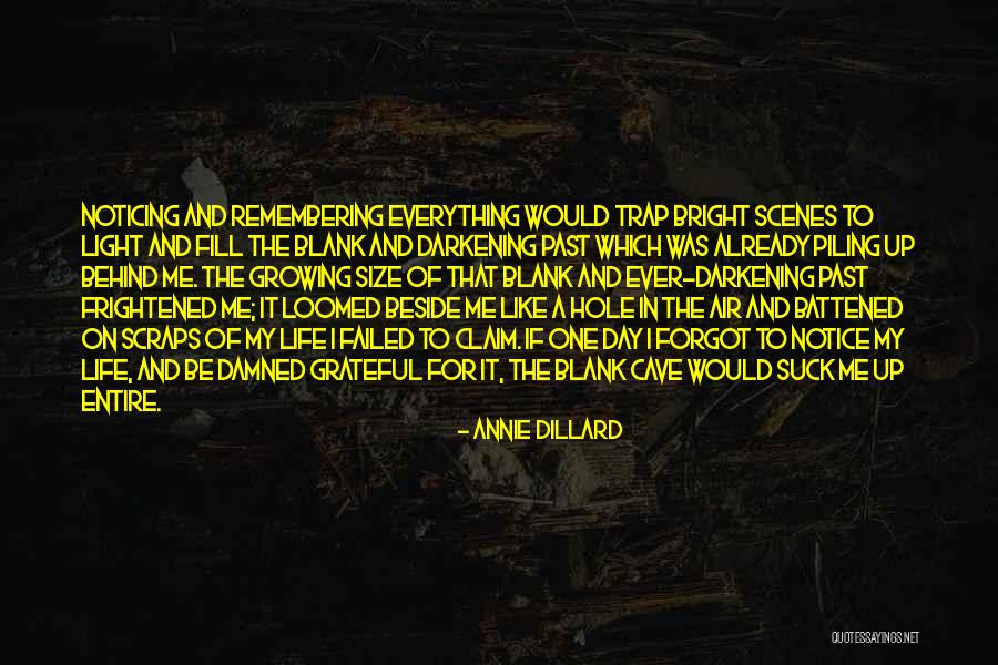 Dillard Quotes By Annie Dillard