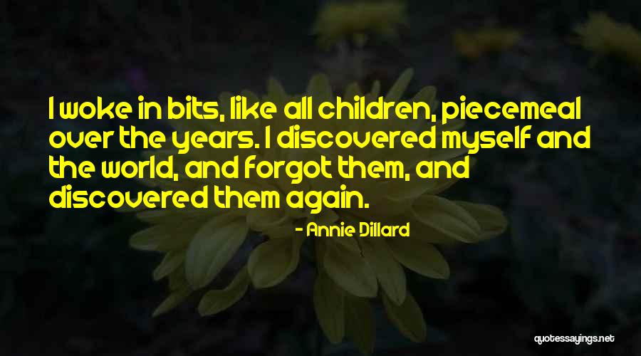 Dillard Quotes By Annie Dillard