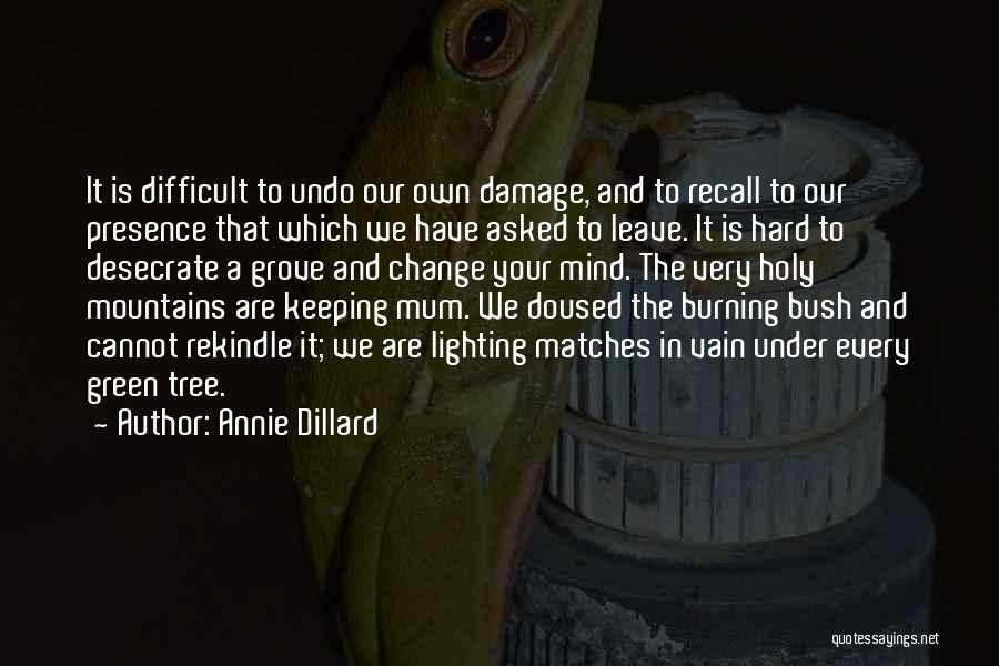 Dillard Quotes By Annie Dillard