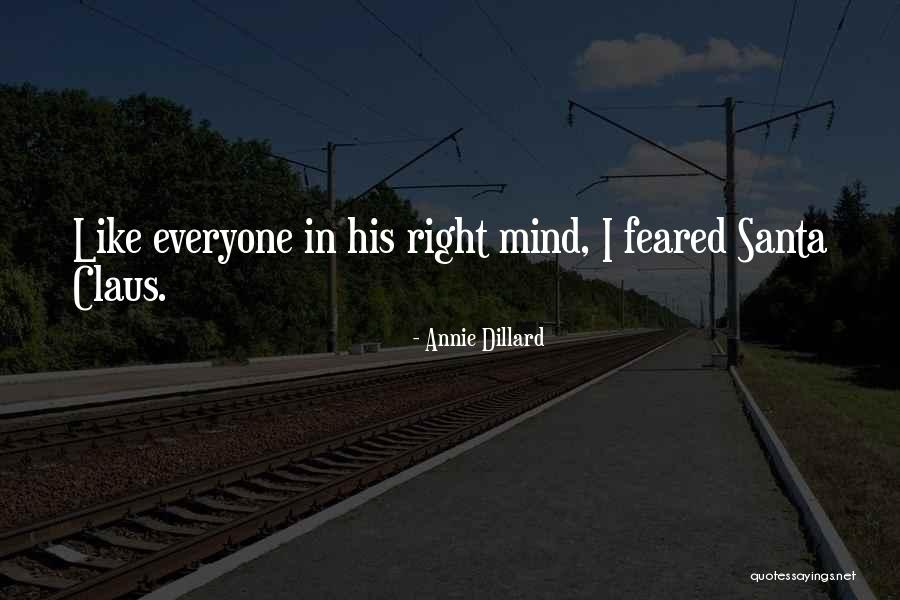 Dillard Quotes By Annie Dillard