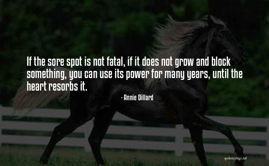 Dillard Quotes By Annie Dillard