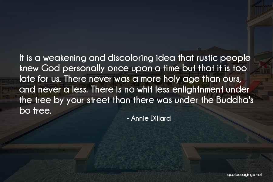 Dillard Quotes By Annie Dillard