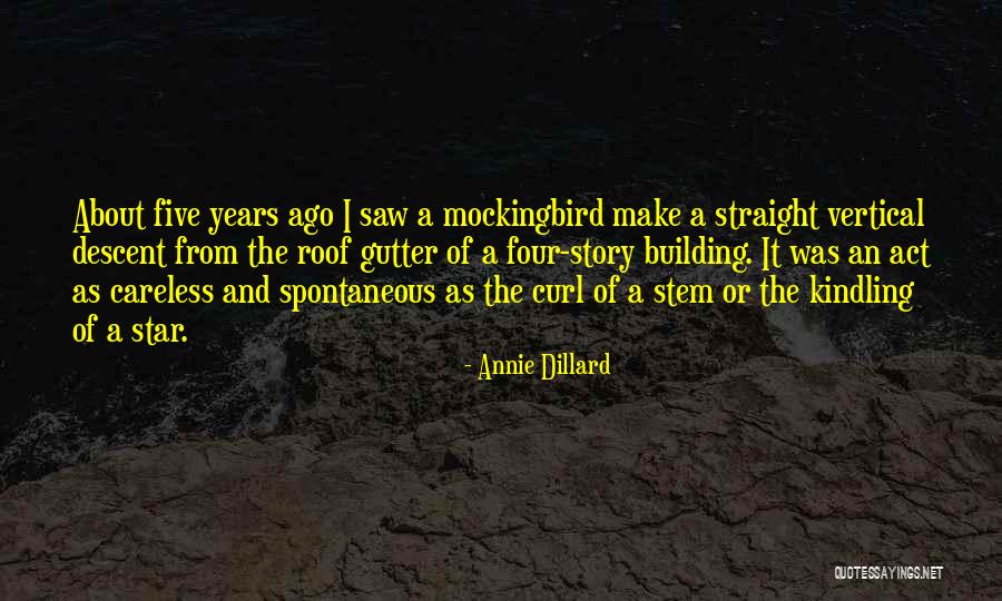 Dillard Quotes By Annie Dillard