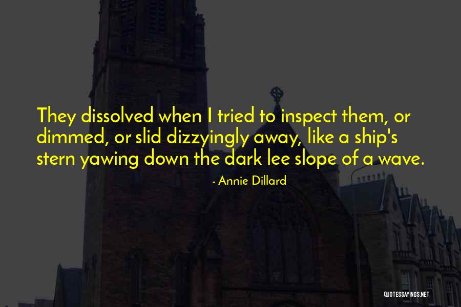 Dillard Quotes By Annie Dillard