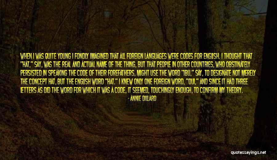 Dillard Quotes By Annie Dillard