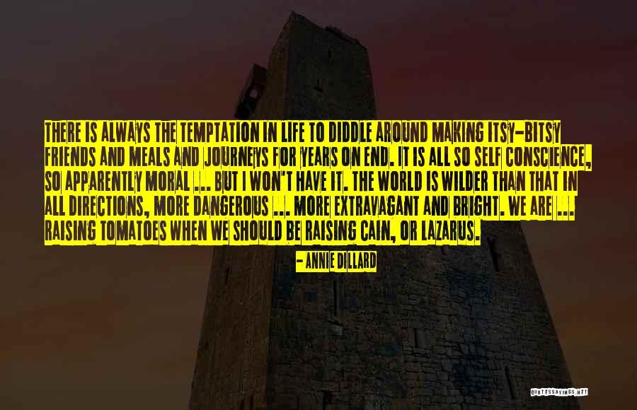 Dillard Quotes By Annie Dillard