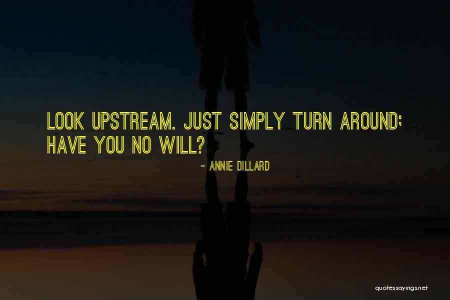 Dillard Quotes By Annie Dillard