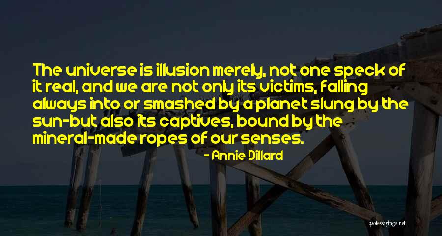 Dillard Quotes By Annie Dillard