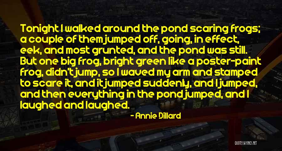 Dillard Quotes By Annie Dillard