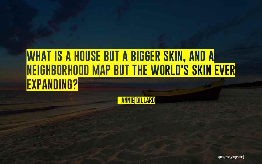 Dillard Quotes By Annie Dillard