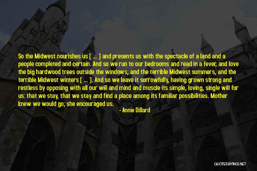 Dillard Quotes By Annie Dillard