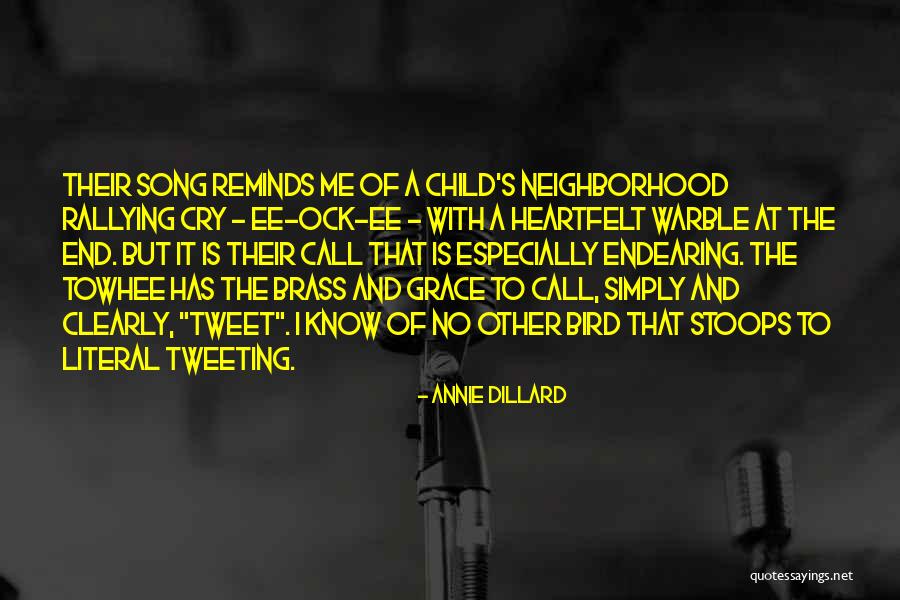 Dillard Quotes By Annie Dillard