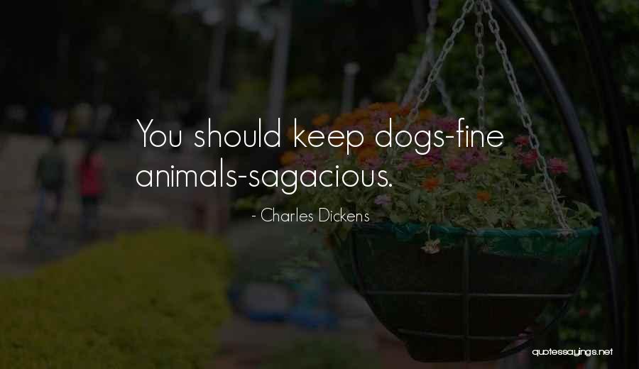 Dillaway St Quotes By Charles Dickens Dillaway St Quotes By Charles Dickens