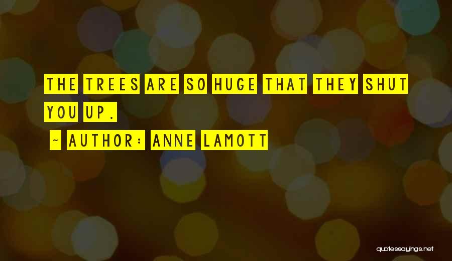 Dillere D Secegiz Quotes By Anne Lamott