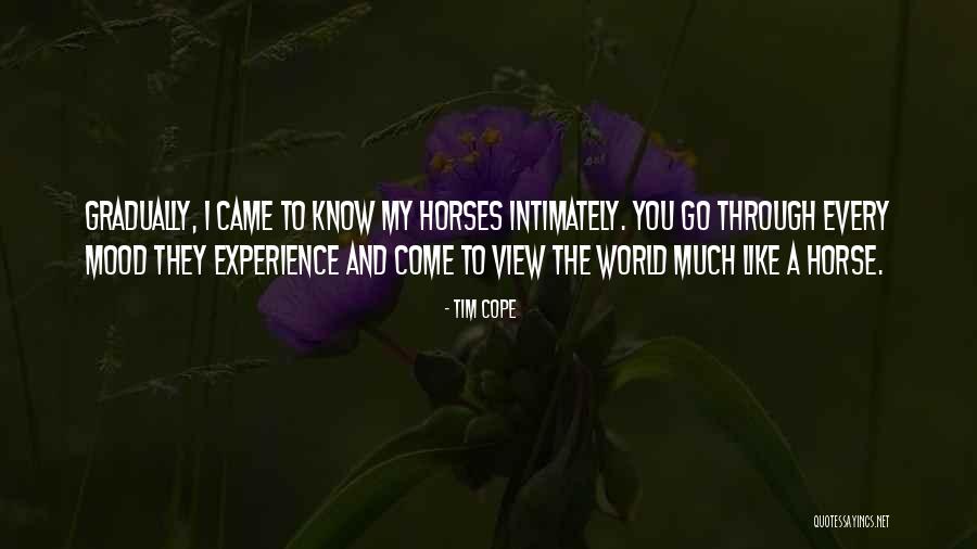 Dillers Feed Quotes By Tim Cope Dillers Feed Quotes By Tim Cope