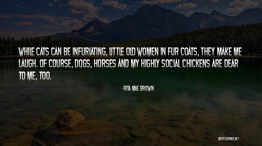 Dillie Koppanyi Quotes By Rita Mae Brown Dillie Koppanyi Quotes By Rita Mae Brown