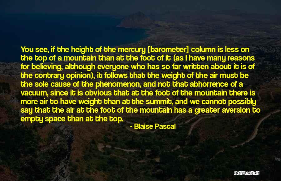 Dillies Webcam Quotes By Blaise Pascal Dillies Webcam Quotes By Blaise Pascal