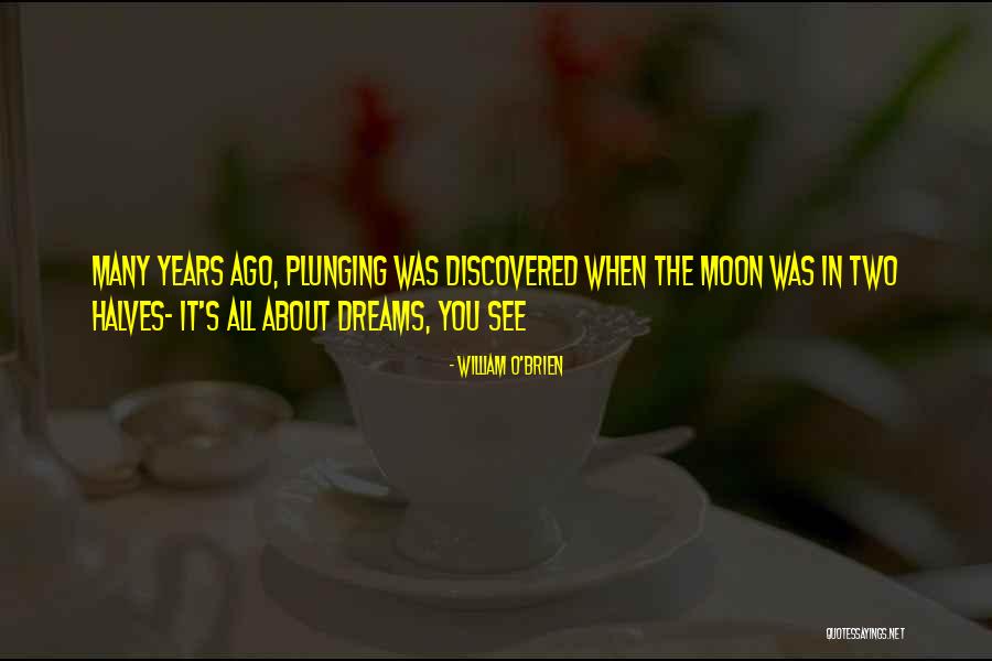 Diluviar Quotes By William O'Brien Diluviar Quotes By William O'Brien