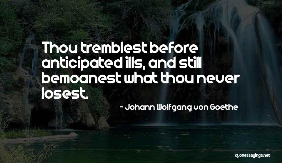 Dilys Laye Quotes By Johann Wolfgang Von Goethe Dilys Laye Quotes By Johann Wolfgang Von Goethe