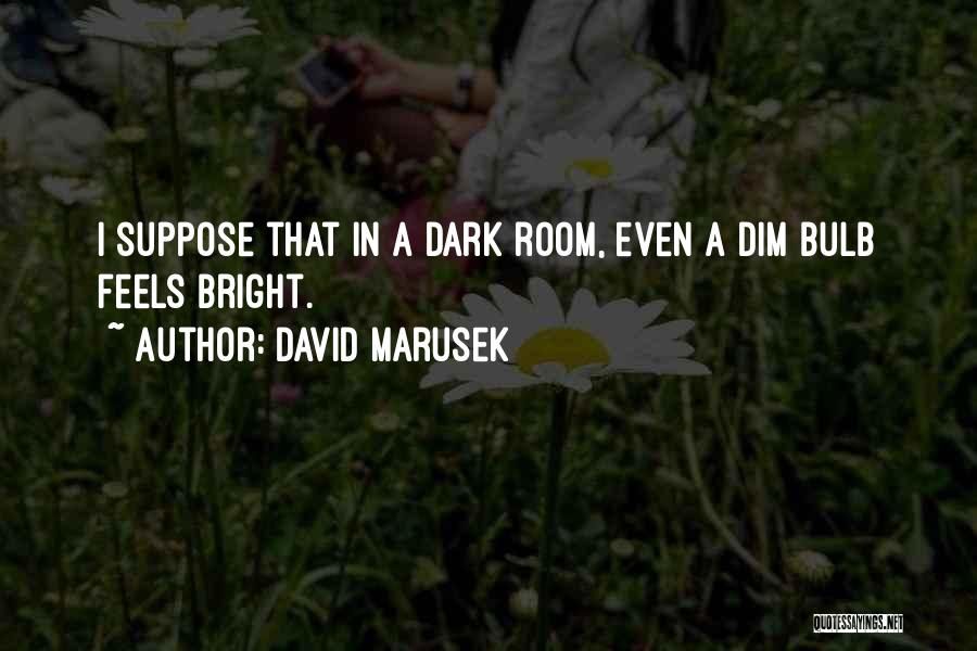 Dim Bulb Quotes By David Marusek