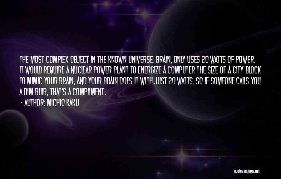 Dim Bulb Quotes By Michio Kaku