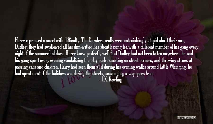 Dim Witted Quotes By J.K. Rowling