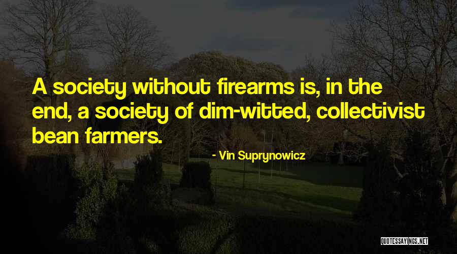 Dim Witted Quotes By Vin Suprynowicz