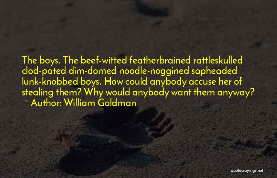 Dim Witted Quotes By William Goldman