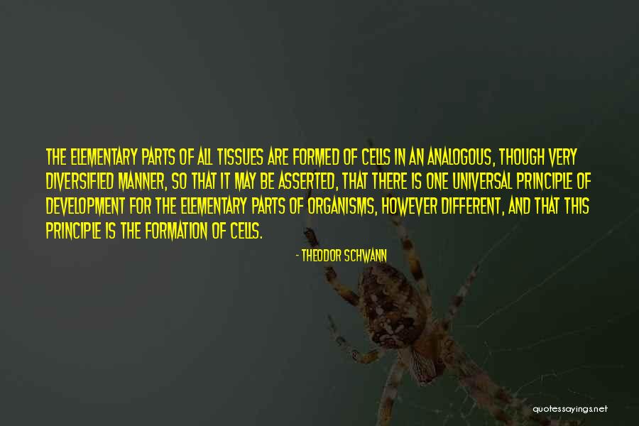 Dimaranan Family Quotes By Theodor Schwann Dimaranan Family Quotes By Theodor Schwann