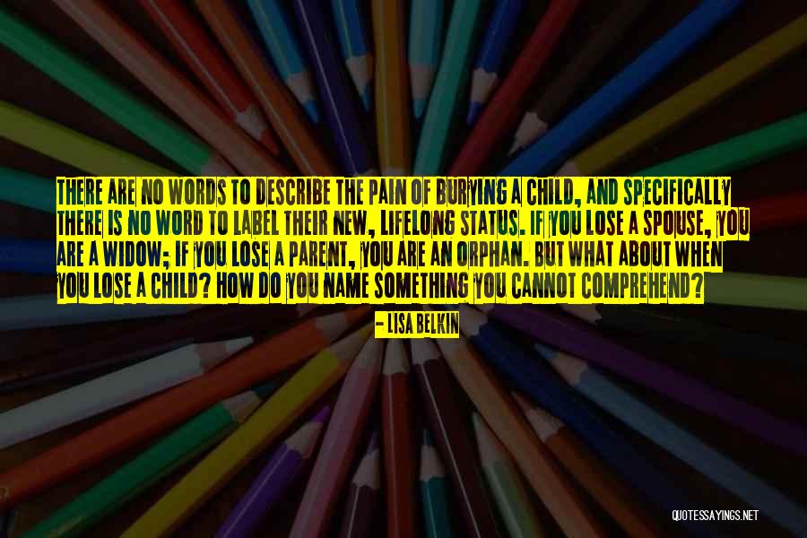Dimassa And Wenger Quotes By Lisa Belkin Dimassa And Wenger Quotes By Lisa Belkin