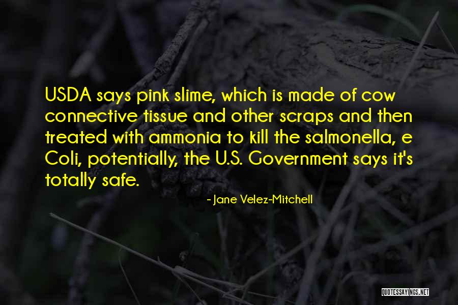 Dimauro Chiropractic Quotes By Jane Velez-Mitchell Dimauro Chiropractic Quotes By Jane Velez-Mitchell