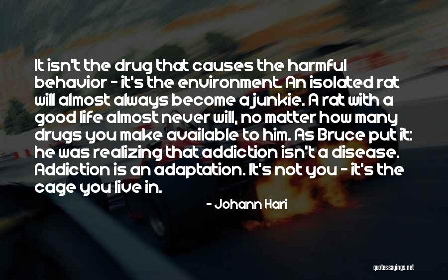 Dimchoo Quotes By Johann Hari Dimchoo Quotes By Johann Hari
