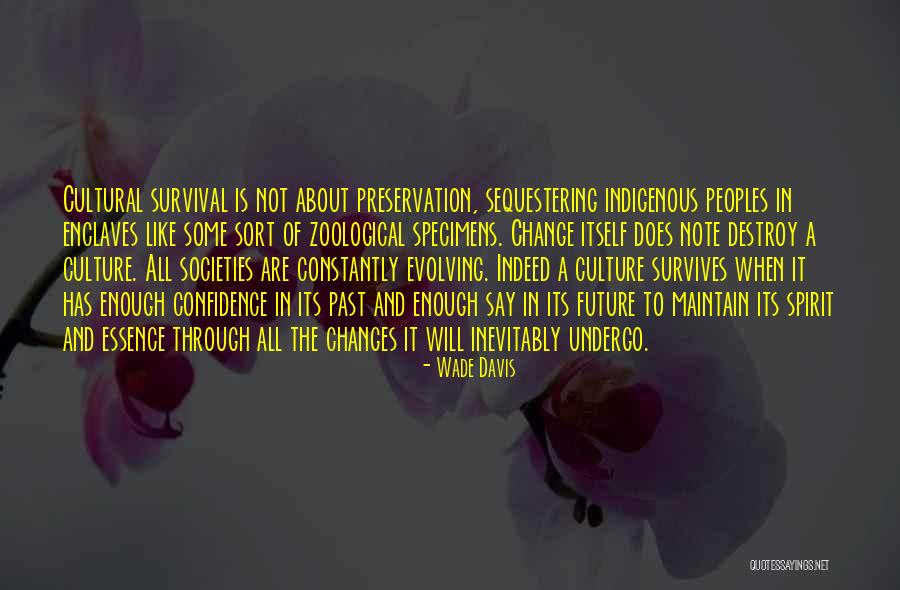 Dimdim Menu Quotes By Wade Davis Dimdim Menu Quotes By Wade Davis