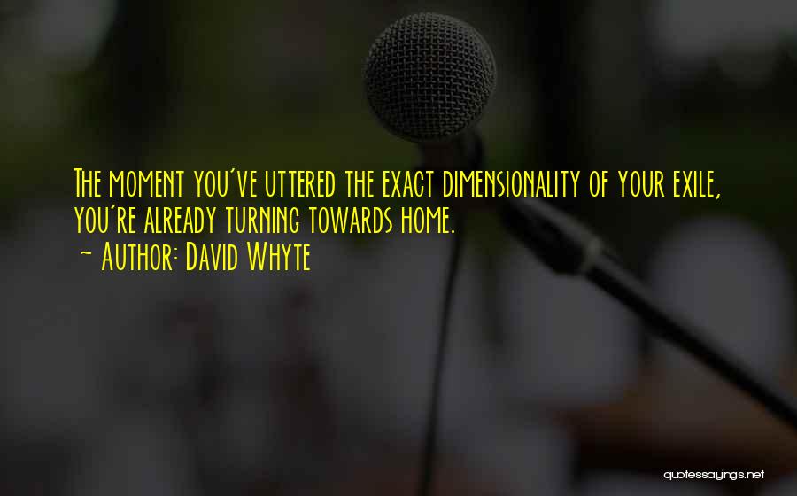 Dimensionality Quotes By David Whyte