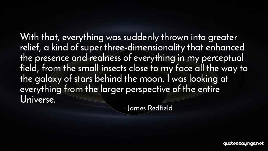 Dimensionality Quotes By James Redfield