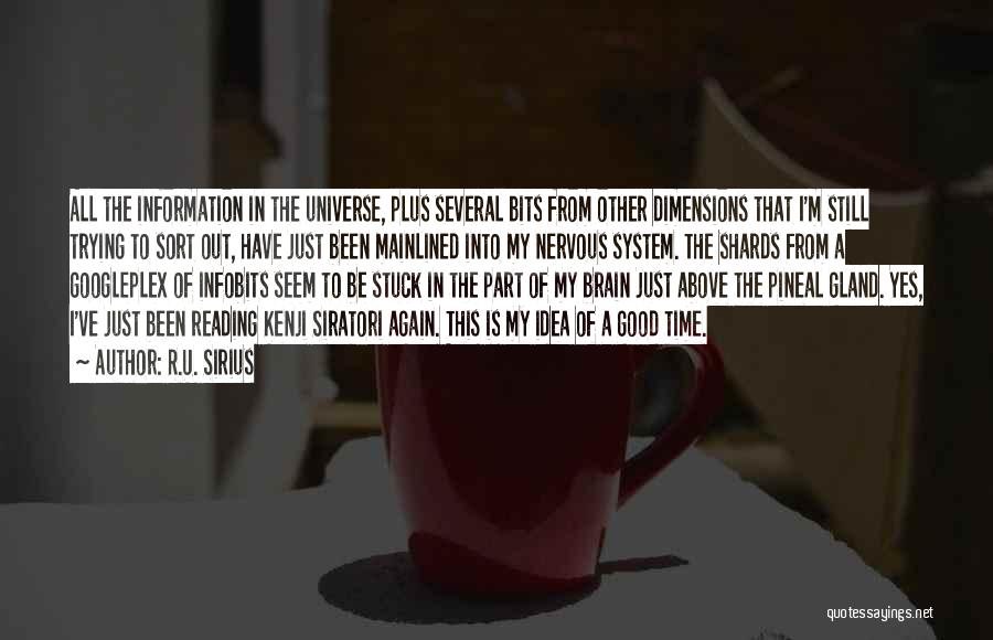 Dimensions In Time Quotes By R.U. Sirius