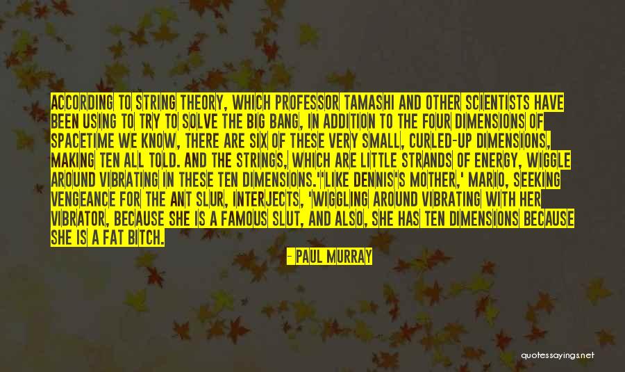 Dimensions Theory Quotes By Paul Murray Dimensions Theory Quotes By Paul Murray