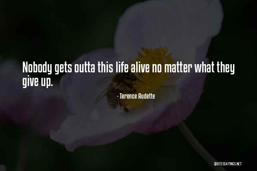 Dimetrodon Quotes By Terence Audette