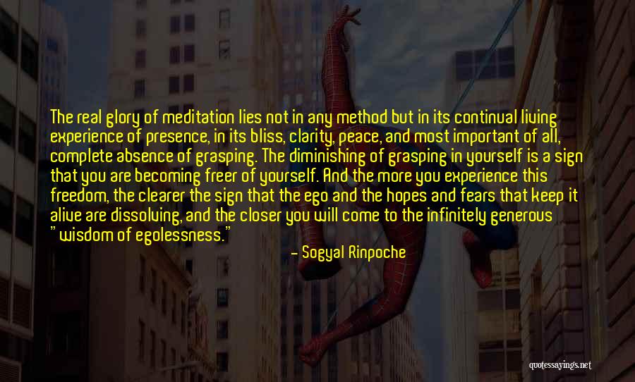 Diminishing Yourself Quotes By Sogyal Rinpoche