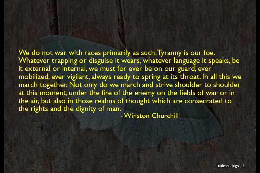 Diminuire Quotes By Winston Churchill Diminuire Quotes By Winston Churchill