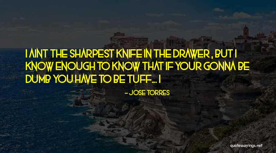 Diminutif En Quotes By Jose Torres Diminutif En Quotes By Jose Torres