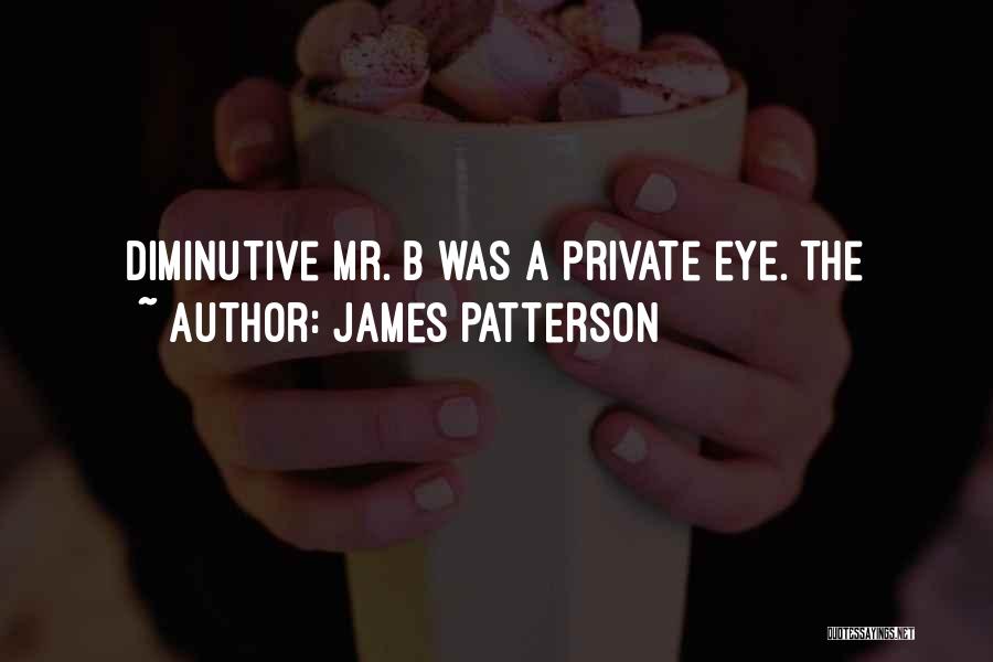 Diminutive Quotes By James Patterson