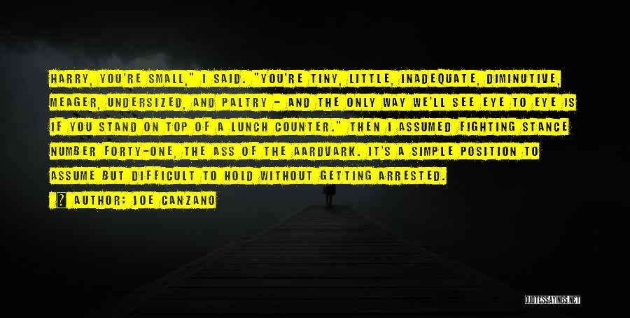 Diminutive Quotes By Joe Canzano