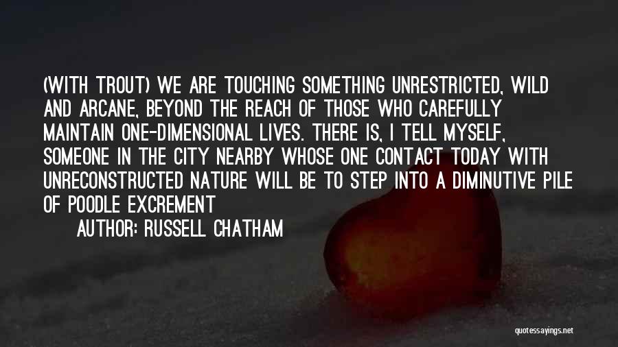 Diminutive Quotes By Russell Chatham