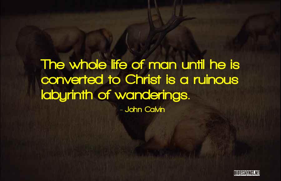 Dimitrije Popovic Slikar Quotes By John Calvin Dimitrije Popovic Slikar Quotes By John Calvin