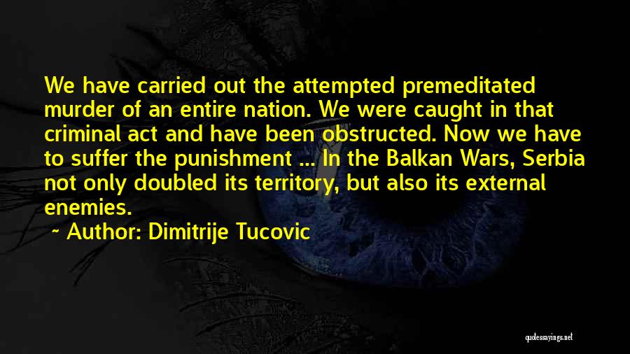 Dimitrije Tucovic Quotes 372343