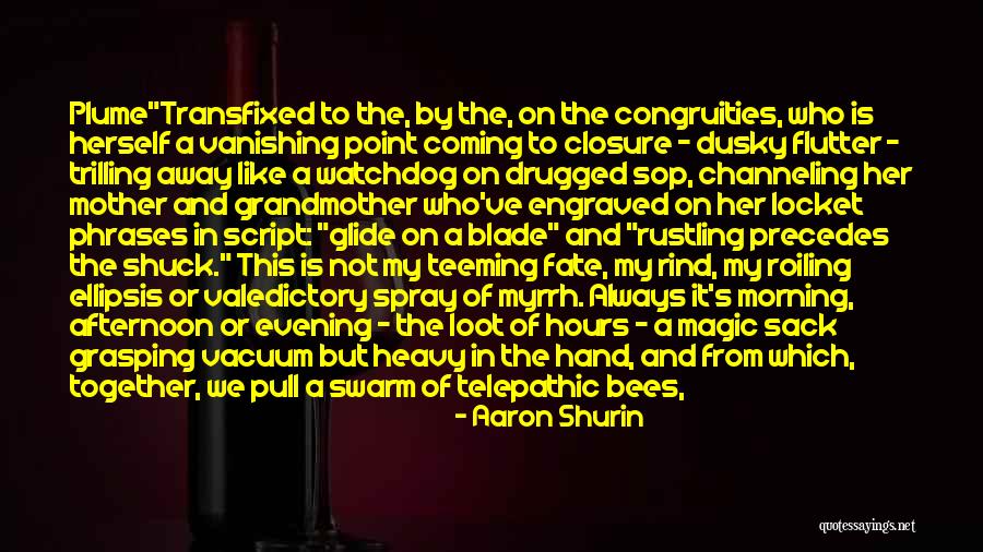 Dimitrijevic Aleksandra Quotes By Aaron Shurin Dimitrijevic Aleksandra Quotes By Aaron Shurin