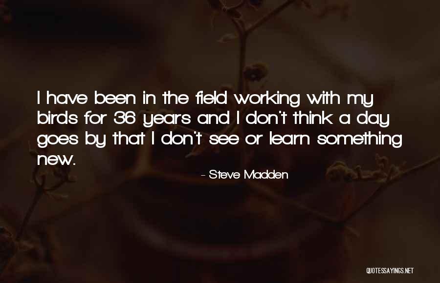 Dimitropoulos Quotes By Steve Madden Dimitropoulos Quotes By Steve Madden